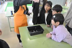 20260322_大道仮説実験「ならんでならんで」講座